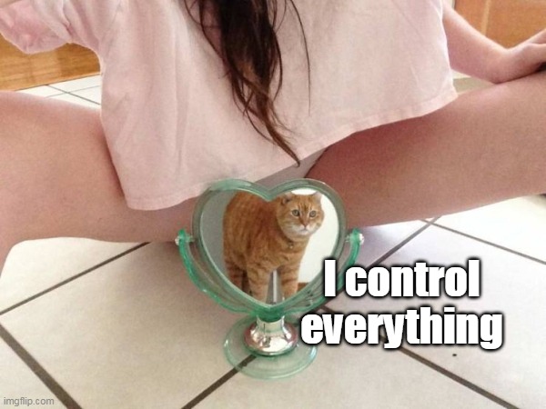 I control everything | made w/ Imgflip meme maker