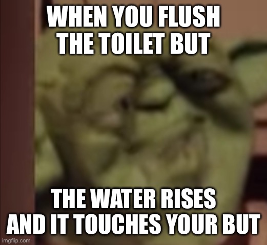 yoda | WHEN YOU FLUSH THE TOILET BUT; THE WATER RISES AND IT TOUCHES YOUR BUT | image tagged in yoda | made w/ Imgflip meme maker