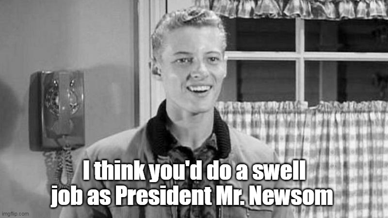 I think you'd do a swell job as President Mr. Newsom | made w/ Imgflip meme maker