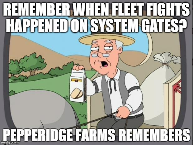 PEPPERIDGE FARMS REMEMBERS | REMEMBER WHEN FLEET FIGHTS HAPPENED ON SYSTEM GATES? | image tagged in pepperidge farms remembers | made w/ Imgflip meme maker