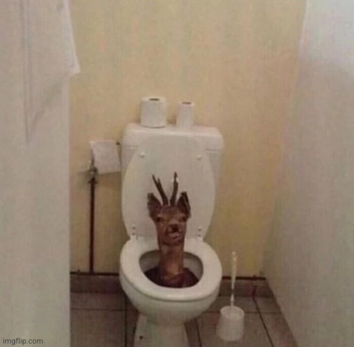 Summoning Toilet Deer | image tagged in summoning toilet deer | made w/ Imgflip meme maker