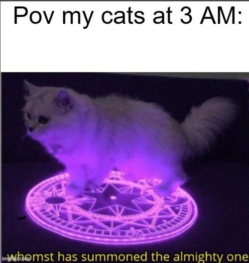 Who has summoned the almighty one | Pov my cats at 3 AM: | image tagged in who has summoned the almighty one | made w/ Imgflip meme maker