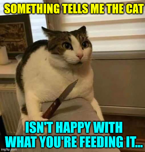 Unhappy cat | SOMETHING TELLS ME THE CAT; ISN'T HAPPY WITH WHAT YOU'RE FEEDING IT... | image tagged in cats,unhappy,with,cat food | made w/ Imgflip meme maker