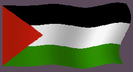 palestine Blank Meme Template