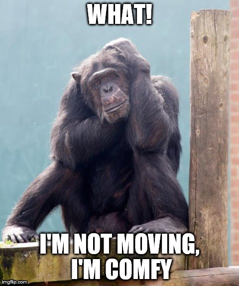 WHAT! I'M NOT MOVING, I'M COMFY | image tagged in what | made w/ Imgflip meme maker
