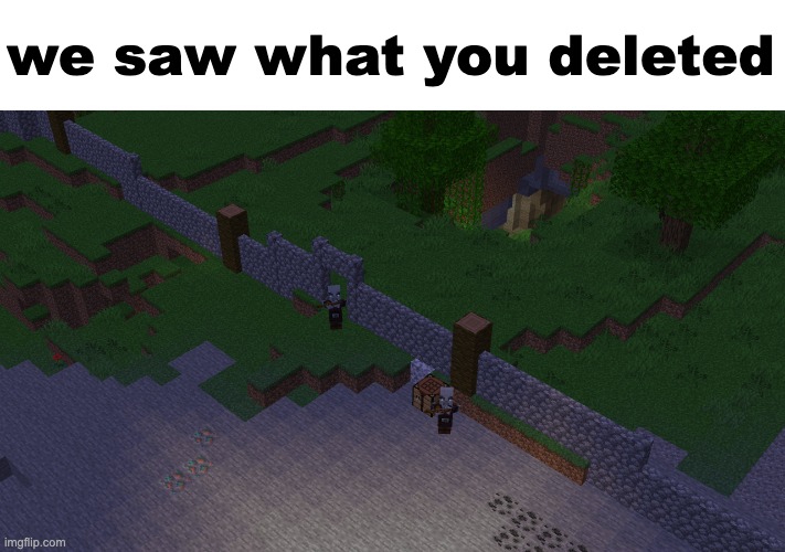 we saw what you deleted | made w/ Imgflip meme maker