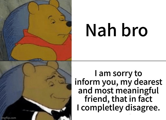 Click to add title | Nah bro; I am sorry to inform you, my dearest and most meaningful friend, that in fact I completley disagree. | image tagged in memes,tuxedo winnie the pooh | made w/ Imgflip meme maker