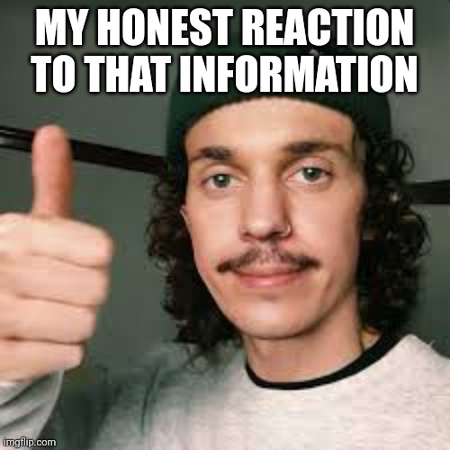 Kurtis Conner thumbs up | MY HONEST REACTION TO THAT INFORMATION | image tagged in kurtis conner thumbs up | made w/ Imgflip meme maker