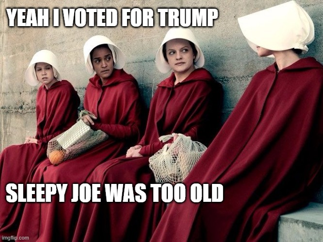 fool around and find out | YEAH I VOTED FOR TRUMP; SLEEPY JOE WAS TOO OLD | image tagged in handmaiden's tale | made w/ Imgflip meme maker
