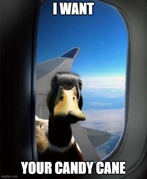 Duck on plane wing | I WANT YOUR CANDY CANE | image tagged in duck on plane wing | made w/ Imgflip meme maker