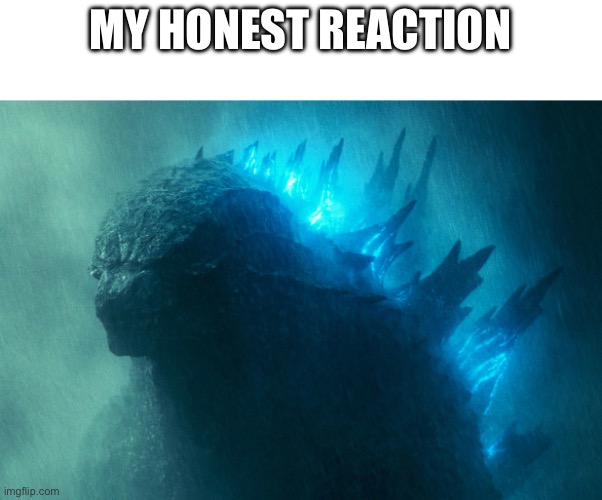 The King Disapproves | MY HONEST REACTION | image tagged in the king disapproves | made w/ Imgflip meme maker