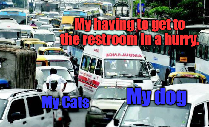 Bathroom Emergency | My having to get to the restroom in a hurry. My Cats; My dog | image tagged in ambulance in traffic | made w/ Imgflip meme maker