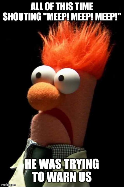 Dr who? | ALL OF THIS TIME SHOUTING "MEEP! MEEP! MEEP!"; HE WAS TRYING TO WARN US | image tagged in beaker meep | made w/ Imgflip meme maker