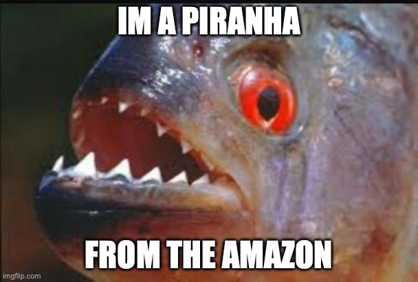 piranha | IM A PIRANHA; FROM THE AMAZON | image tagged in piranha | made w/ Imgflip meme maker