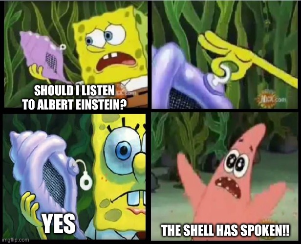 The Shell Has Spoken | SHOULD I LISTEN TO ALBERT EINSTEIN? YES THE SHELL HAS SPOKEN!! | image tagged in the shell has spoken | made w/ Imgflip meme maker