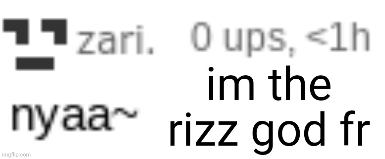 zari nyaa | im the rizz god fr | image tagged in zari nyaa | made w/ Imgflip meme maker