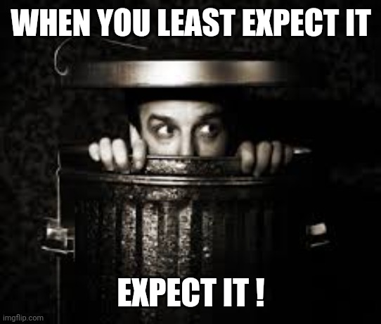 Man in Trash Can | WHEN YOU LEAST EXPECT IT EXPECT IT ! | image tagged in man in trash can | made w/ Imgflip meme maker