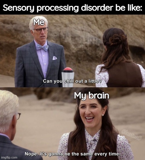 Sensory Processing Disorder (SPD) Meme | Sensory processing disorder be like:; Me; My brain | image tagged in good place chill out,sensory processing disorder,meme,autism,aspergers,neurodivergent | made w/ Imgflip meme maker