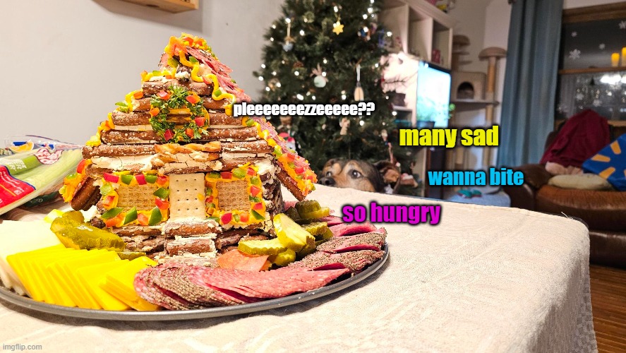 doggo at christmas | pleeeeeeezzeeeee?? many sad; wanna bite; so hungry | image tagged in dogs,food,sad,christmas | made w/ Imgflip meme maker