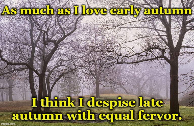 Autumn Morphing to Winter | As much as I love early autumn; I think I despise late autumn with equal fervor. | image tagged in autumn,christmas memes,winter is coming,hunting season,happy holidays,seasons | made w/ Imgflip meme maker
