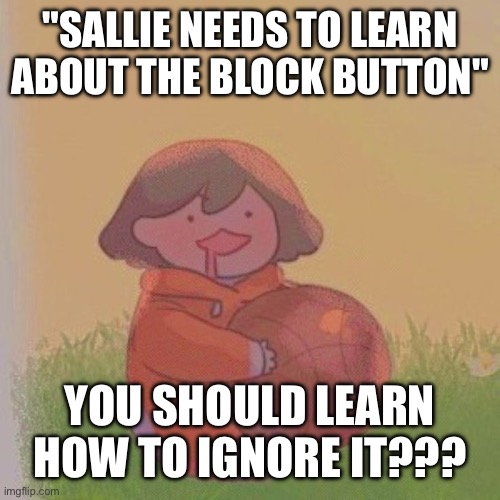 not that hard tbh | "SALLIE NEEDS TO LEARN ABOUT THE BLOCK BUTTON"; YOU SHOULD LEARN HOW TO IGNORE IT??? | image tagged in kel | made w/ Imgflip meme maker