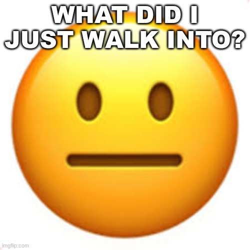 :| | WHAT DID I JUST WALK INTO? | image tagged in not funny | made w/ Imgflip meme maker