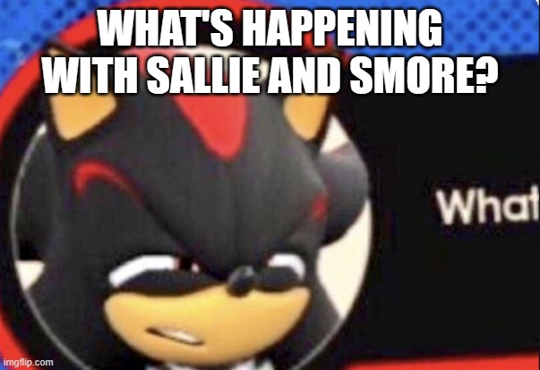 . | WHAT'S HAPPENING WITH SALLIE AND SMORE? | image tagged in shadow what | made w/ Imgflip meme maker