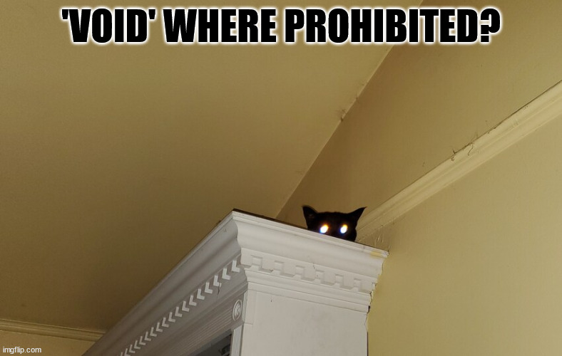 'Vod' where prohibited? | 'VOID' WHERE PROHIBITED? | image tagged in cat,ceiling cat,funny cats | made w/ Imgflip meme maker