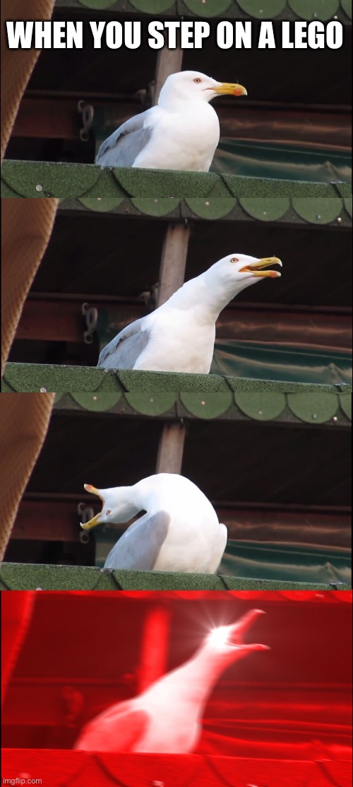 Ouch | WHEN YOU STEP ON A LEGO | image tagged in memes,inhaling seagull,lego | made w/ Imgflip meme maker