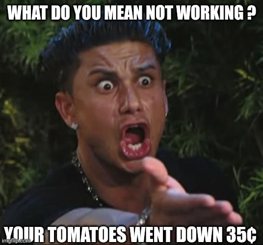 situation | WHAT DO YOU MEAN NOT WORKING ? YOUR TOMATOES WENT DOWN 35¢ | image tagged in situation | made w/ Imgflip meme maker