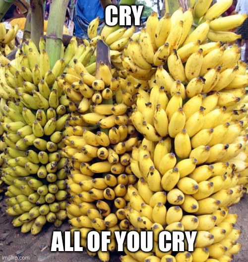 Immature fucks | CRY; ALL OF YOU CRY | image tagged in bananas | made w/ Imgflip meme maker