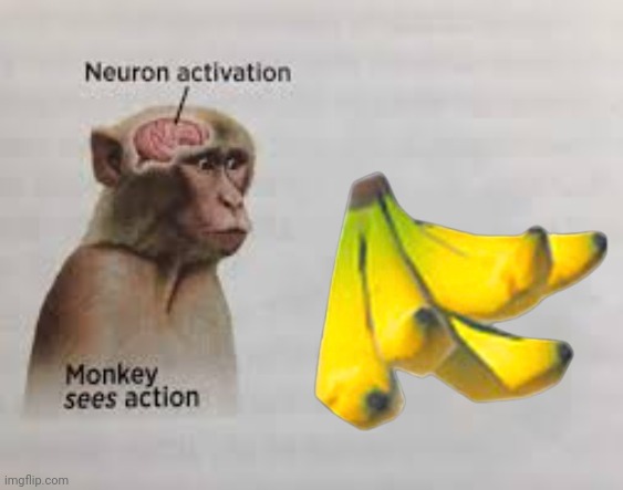 Neuron activation | image tagged in neuron activation | made w/ Imgflip meme maker