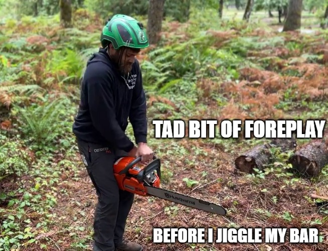 jiggle my bar | TAD BIT OF FOREPLAY; BEFORE I JIGGLE MY BAR | image tagged in chainsaw | made w/ Imgflip meme maker