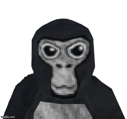 Gorilla tag | image tagged in gorilla tag | made w/ Imgflip meme maker