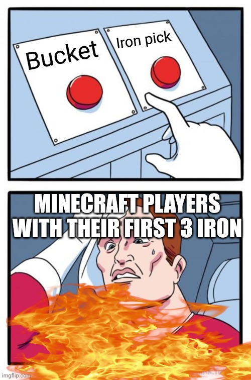 The hardest choice | Iron pick; Bucket; MINECRAFT PLAYERS WITH THEIR FIRST 3 IRON | image tagged in memes,two buttons,minecraft,bucket,iron,pick | made w/ Imgflip meme maker