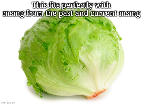 Lettuce  | This fits perfectly with msmg from the past and current msmg | image tagged in lettuce | made w/ Imgflip meme maker