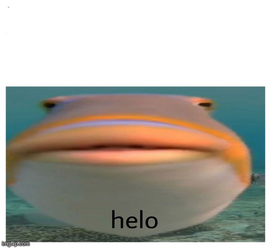 helo fish | image tagged in helo fish | made w/ Imgflip meme maker