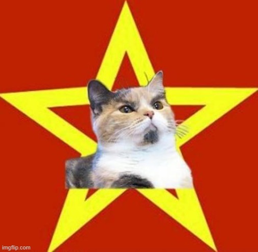 lenin cat | image tagged in lenin cat | made w/ Imgflip meme maker