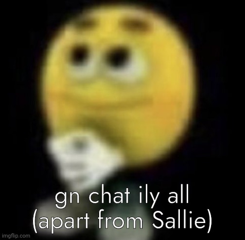 shit | gn chat ily all (apart from Sallie) | image tagged in shit | made w/ Imgflip meme maker