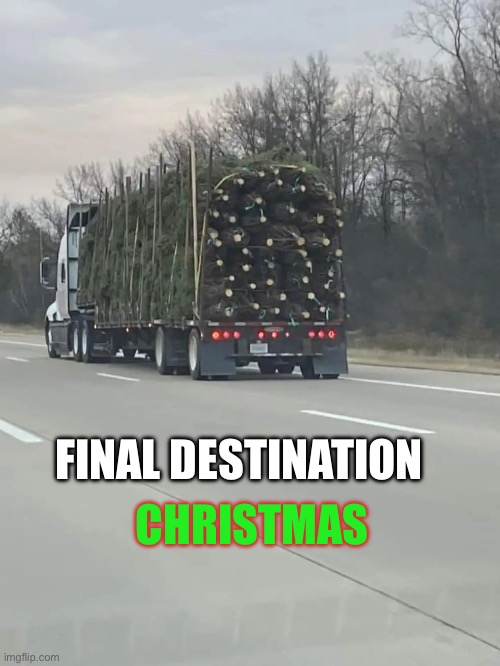 ?? | FINAL DESTINATION; CHRISTMAS | image tagged in final destination christmas,memes,funny | made w/ Imgflip meme maker