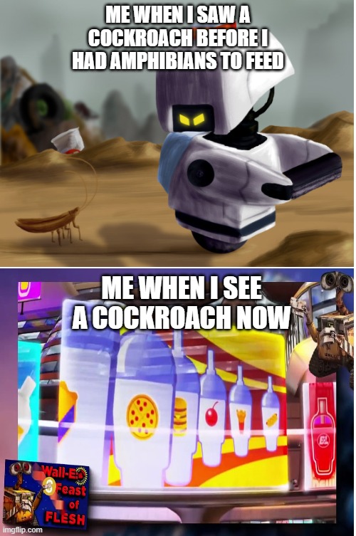 when you have wild amphibians | ME WHEN I SAW A COCKROACH BEFORE I HAD AMPHIBIANS TO FEED; ME WHEN I SEE A COCKROACH NOW | image tagged in insects,amphibia,wall-e | made w/ Imgflip meme maker