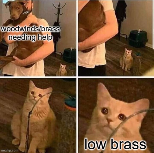 Cat Left Out Crying | woodwinds/brass needing help low brass | image tagged in cat left out crying | made w/ Imgflip meme maker