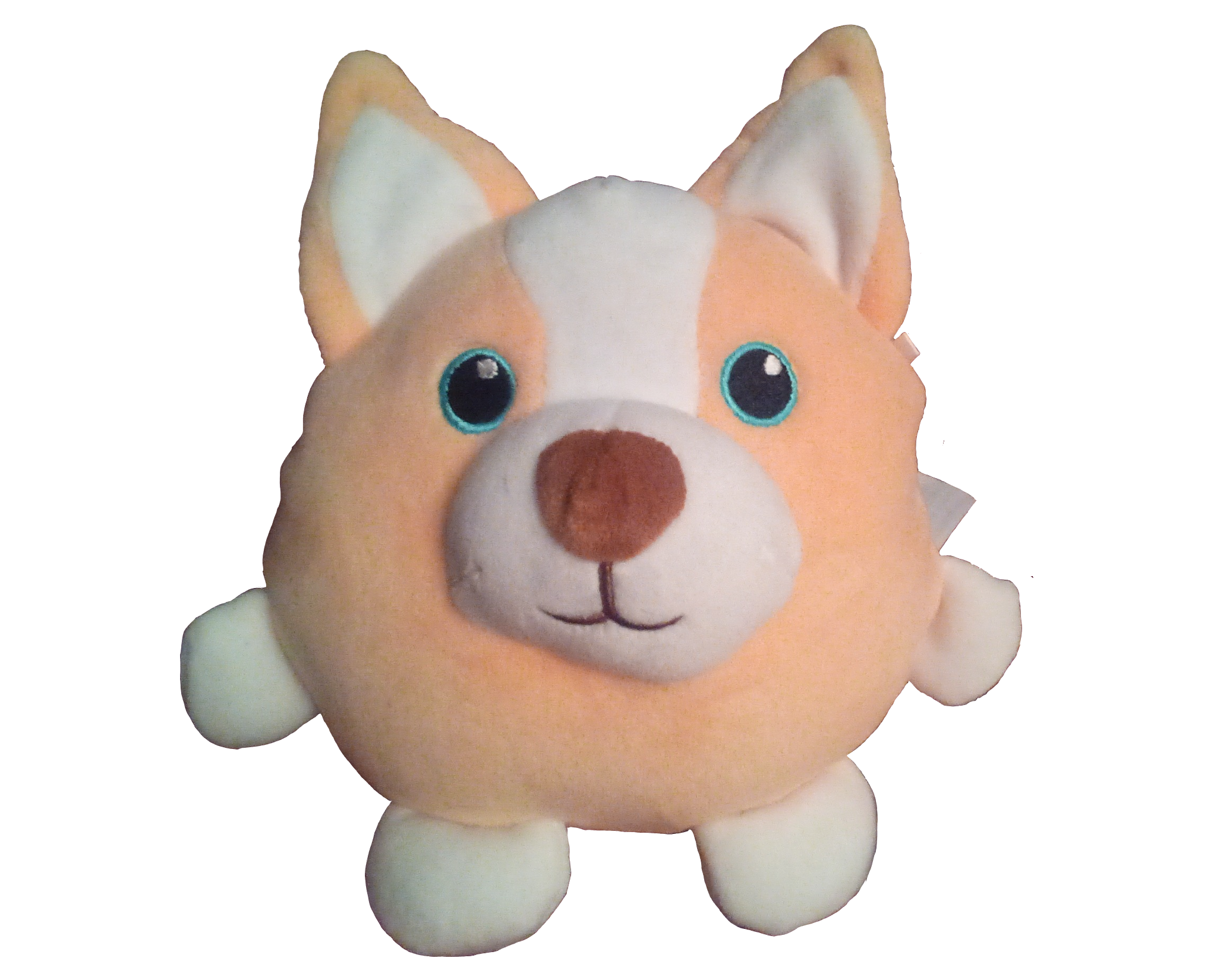 Corgibol plush Blank Meme Template