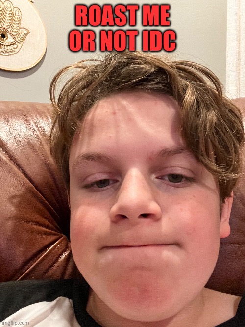 Actually good insult that will leave me shaking in my boots for days to come | ROAST ME OR NOT IDC | made w/ Imgflip meme maker