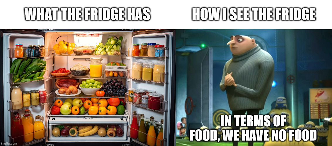fridge | WHAT THE FRIDGE HAS; HOW I SEE THE FRIDGE; IN TERMS OF FOOD, WE HAVE NO FOOD | image tagged in in terms of money we have no money,fridge,food,gru meme,in terms of money,we have no money | made w/ Imgflip meme maker