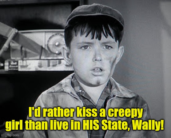 Beaver Cleaver  | I'd rather kiss a creepy girl than live in HIS State, Wally! | image tagged in beaver cleaver | made w/ Imgflip meme maker