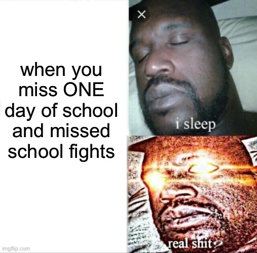 Sleeping Shaq | when you miss ONE day of school and missed school fights | image tagged in memes,sleeping shaq | made w/ Imgflip meme maker