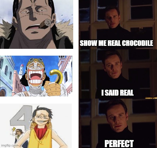 One Piece fan | SHOW ME REAL CROCODILE; I SAID REAL; PERFECT | image tagged in perfection | made w/ Imgflip meme maker