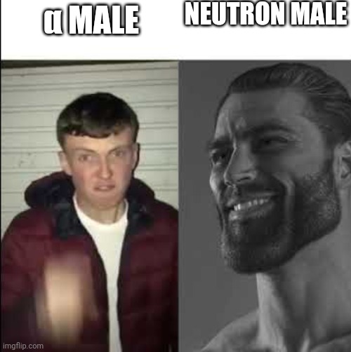Giga chad template | α MALE NEUTRON MALE | image tagged in giga chad template | made w/ Imgflip meme maker