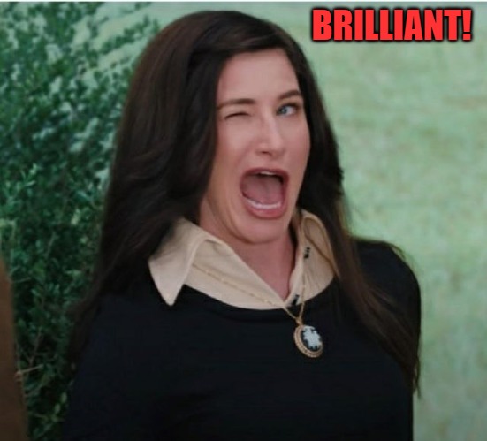 BRILLIANT! | image tagged in wink wink | made w/ Imgflip meme maker